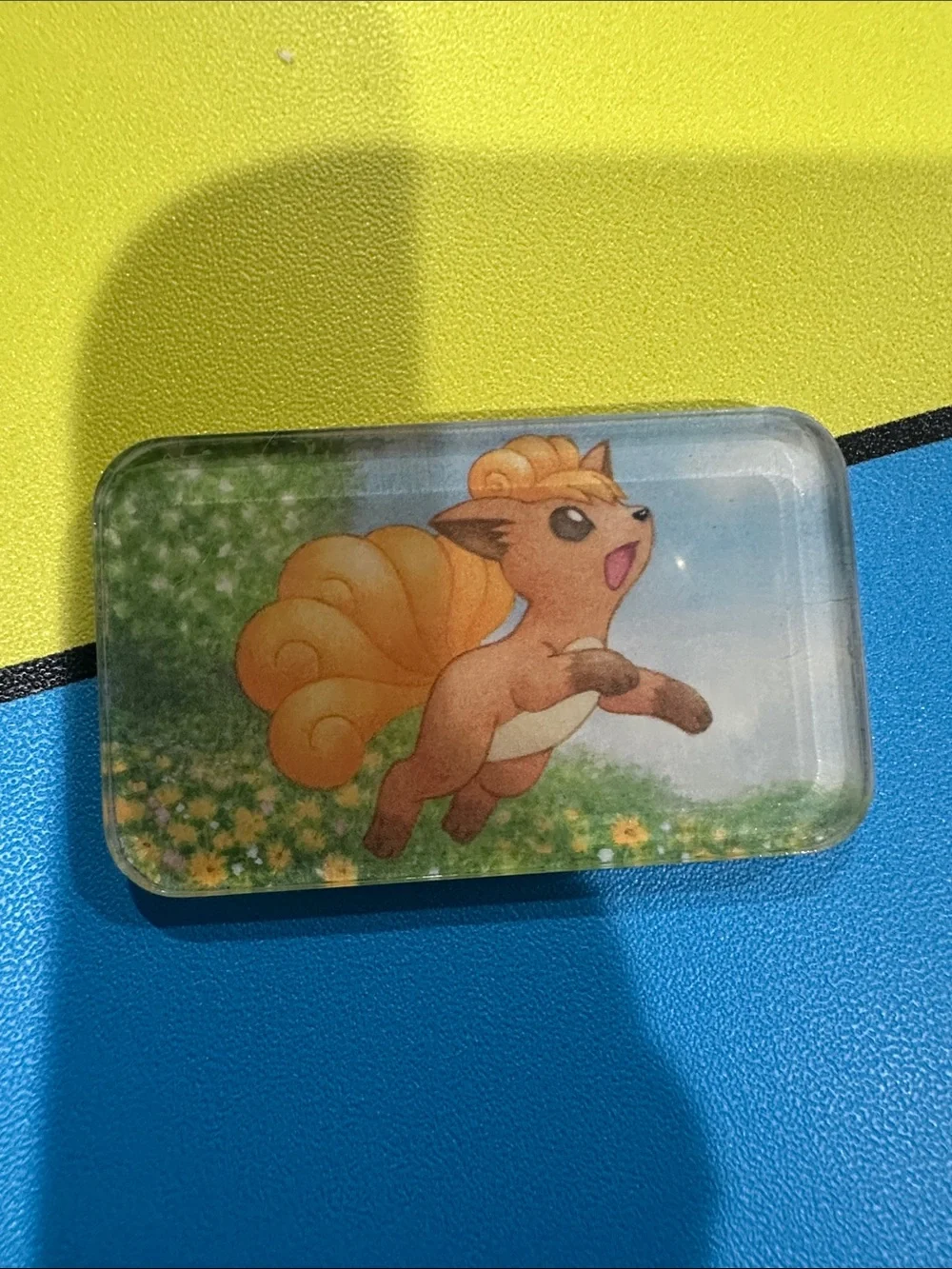 Pokemon bring charm